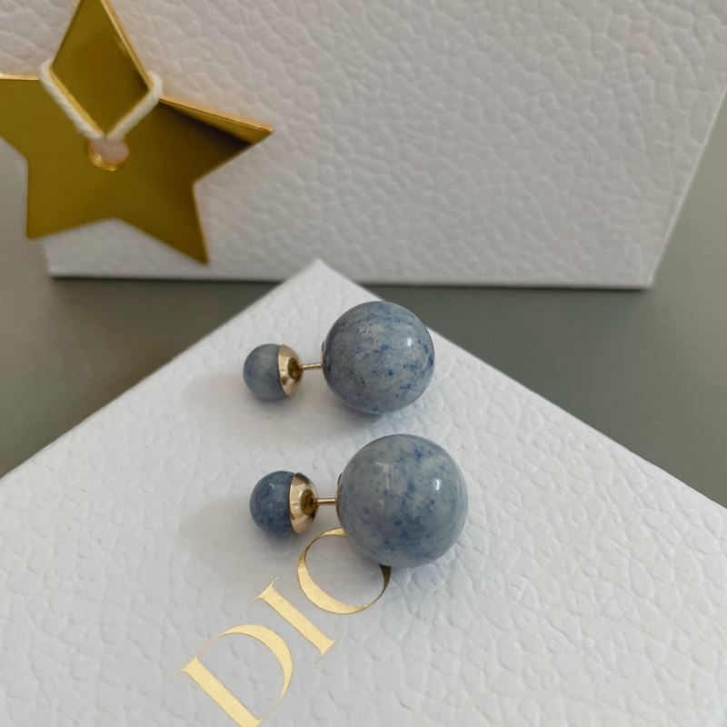 Christian Dior Earrings